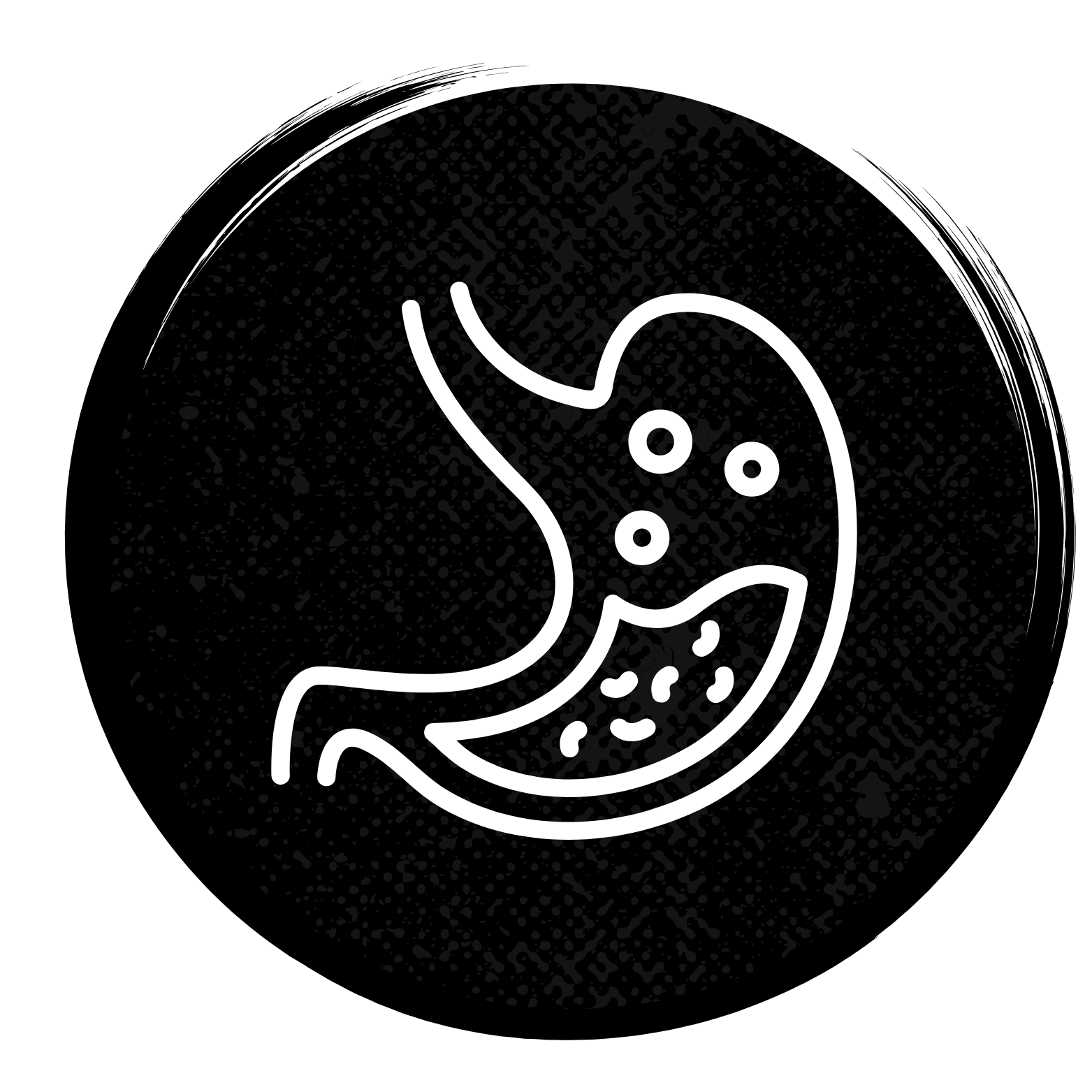 Digestion